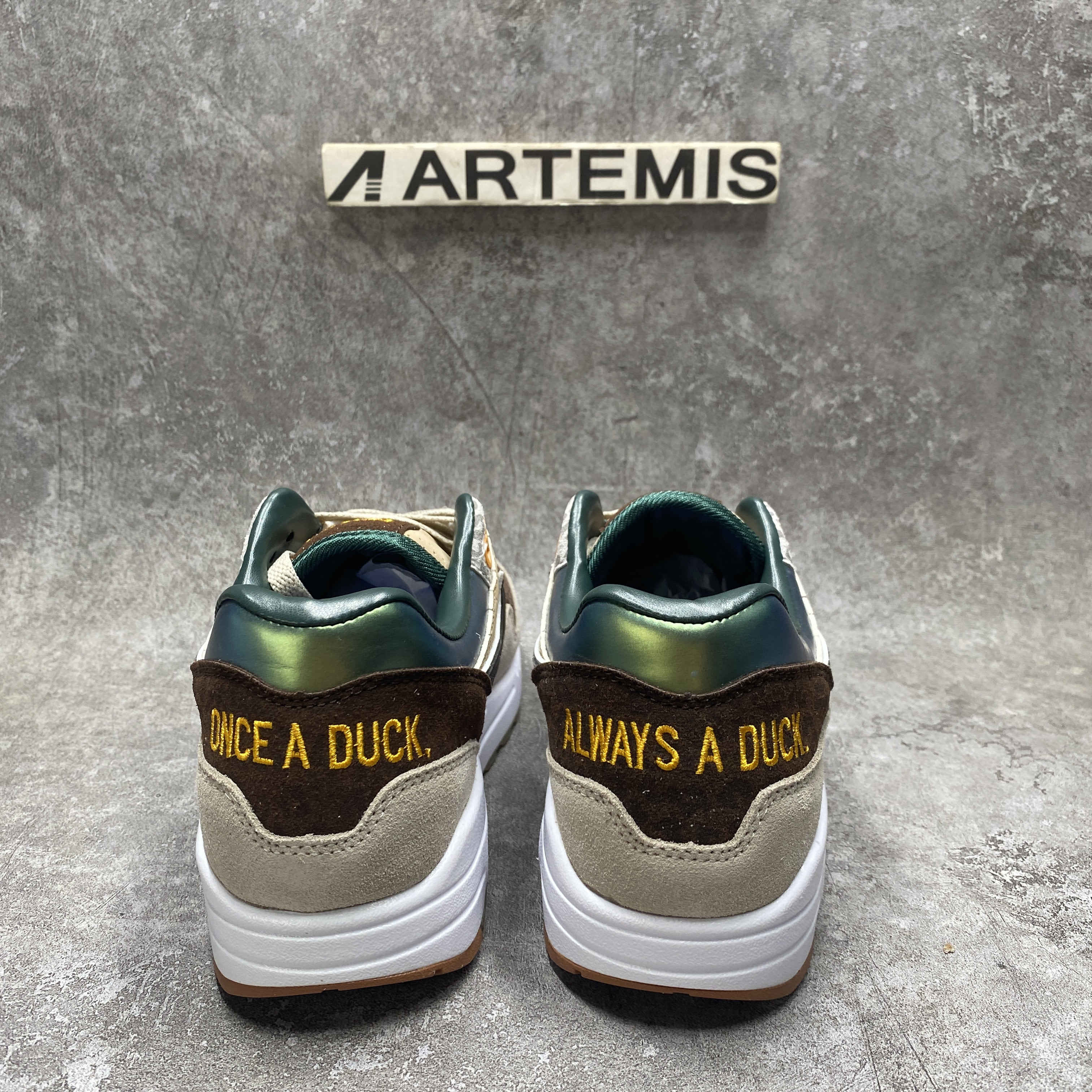 UA Nike Air Max 1