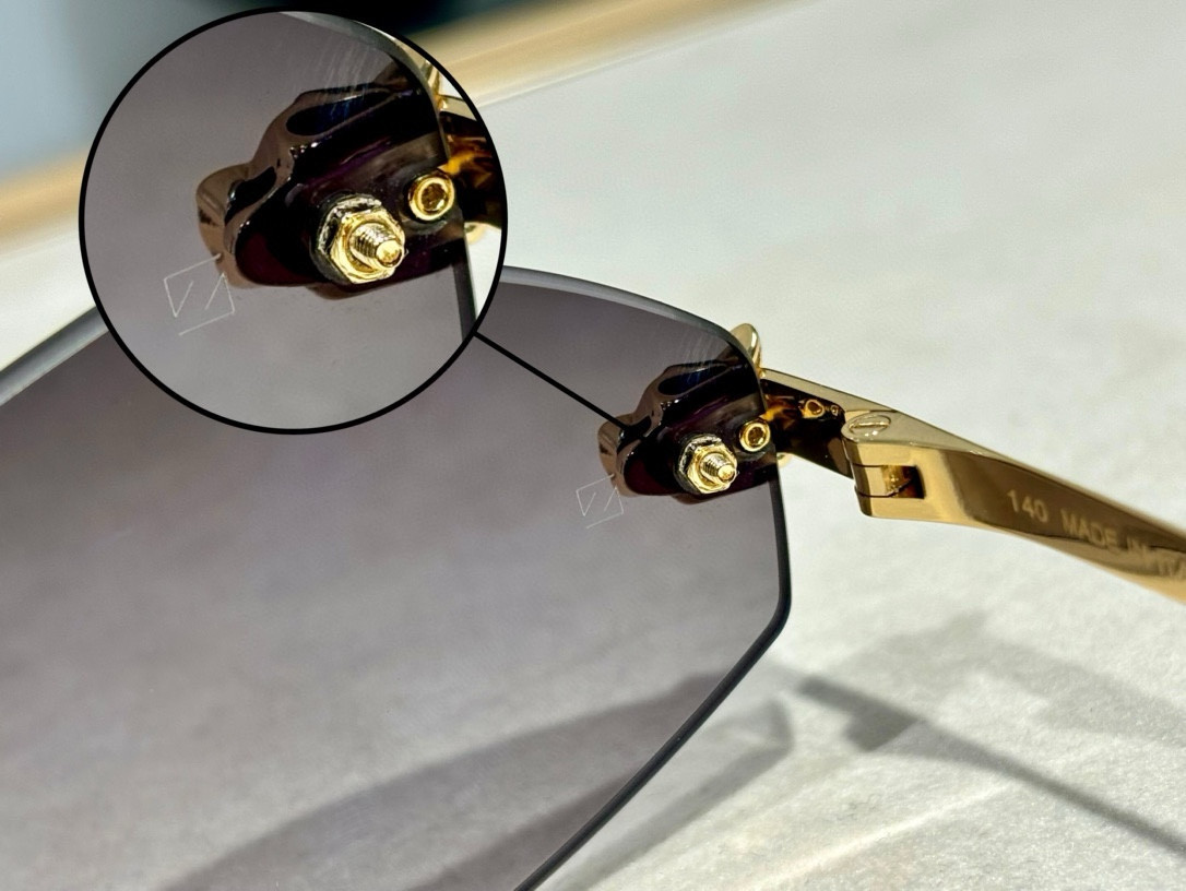 Ca*t*er glasses ct0433s 55-22-140
